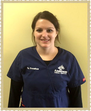 hartsville veterinarian
